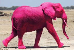 Charles Bonnet Sendromu