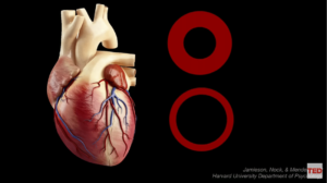 Sınava Girecekler Okusun! Stres Kontrolü Nedir? Capture 1