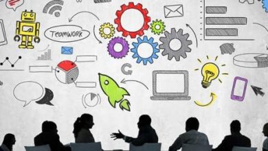 MSU Entrepreneurship and Innovation 600x263 1