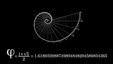 Altın Oran ve Doğadaki Yaygınlığı Altın Oran