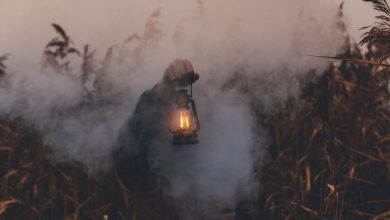 Bir Kıvılcım Yak Ve Ateşin Parlasın bir kıvılcım yak ve ateşin parlasın