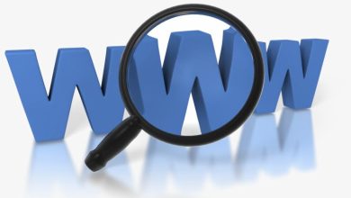 world wide web nedir