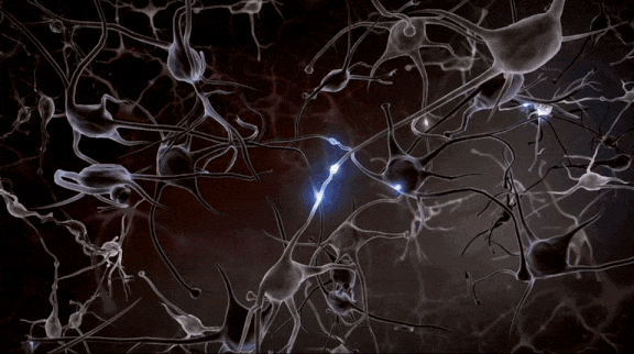 Nöron İletişimi