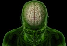İnsan Beyniyle İlgili 10 İlginç Gerçek