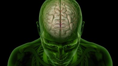 İnsan Beyniyle İlgili 10 İlginç Gerçek