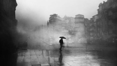 pexels joao cabral 3299386 1 1 e1616578744703