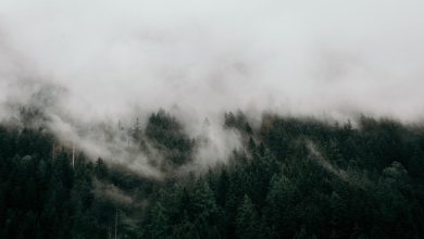 Hayatınıza Bir Anlam Katabilecek Aforizmalar