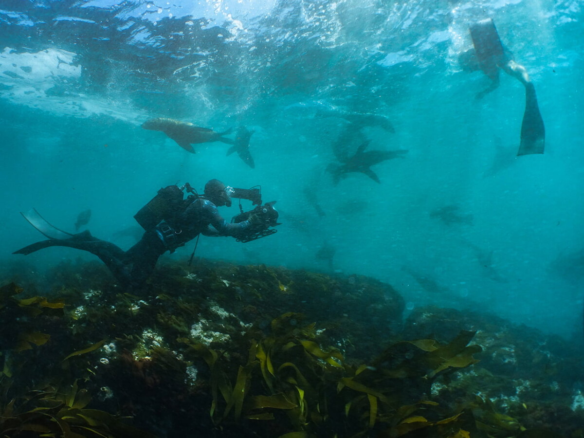 Craig Foster Sea Change Project