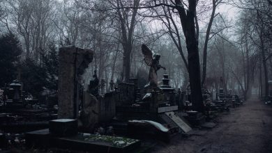 Ölüm Nedir ? - İnsan Neden Ölür ?