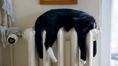 Kombi Sıcak Su Ayarı Nasıl Yapılır?