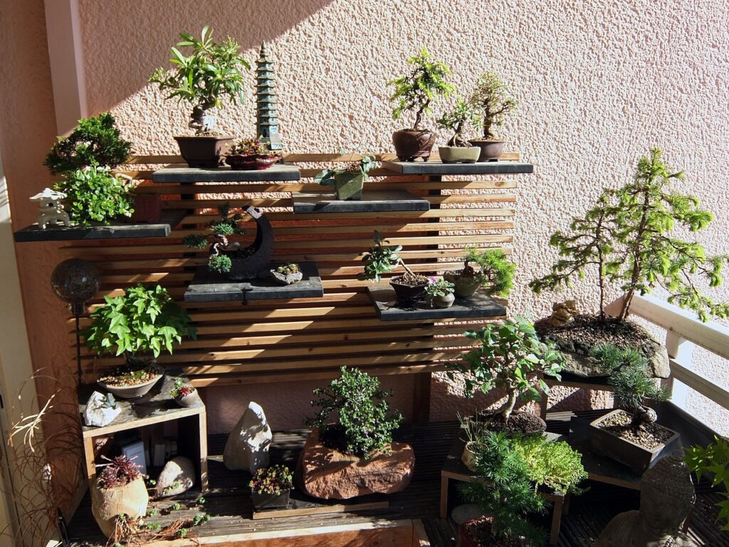 Bonsai Ağaç Sanatı Nedir? Bonsai İçin Uygun Olan 10 Ağaç Türü