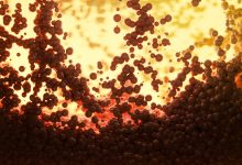 pexels marek piwnicki 12214777 1