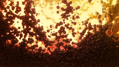 pexels marek piwnicki 12214777 1